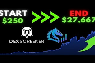 setup market making bot with dex screener bot on all solana dexs