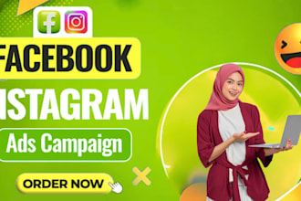 setup and manage facebook and instagram ads conversion with fb ads campaign