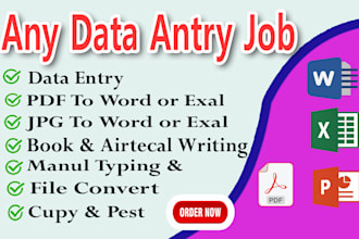 do any typer related data entry job ,microsoft word,excel,power point