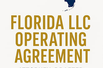 draft a florida llc operating agreement tailored to your business
