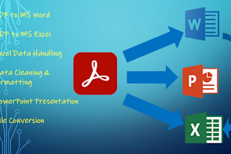 do ms office, excel, word, ppt, and convert PDF to word, excel