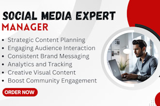 be your experienced facebook tiktok and instagram business page and shop manager