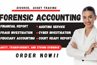 do forensic accounting for divorce cases, fraud investigation, and court reports