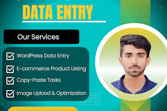accurate data entry, wordpress data entry