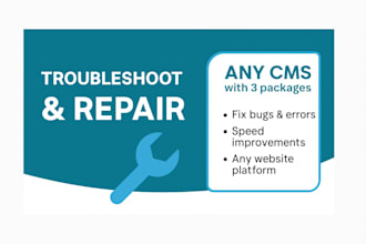 troubleshoot and fix website issues for any cms