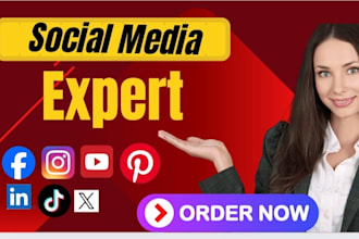 provide professional digital marketing for your business