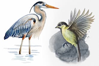 illustrate anything in watercolor illustration style