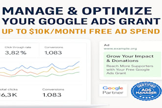 setup and troubleshoot google ads grants to maximize nonprofit growth and ROI