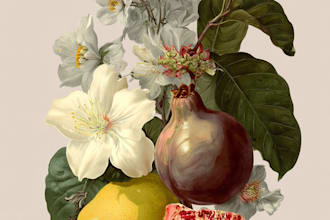 draw botanical illustration art for you