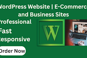 create a professional, responsive, and fast wordpress website