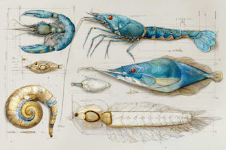 draw a scientific illustration art