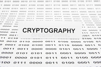do cryptography algorithms in python, cybersecurity reports, and coding projects