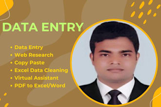 do fast accurate data entry for your reputed business