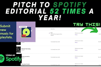 do spotify music promotion, professional music promotion, playlist curator