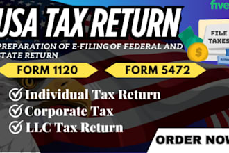 handle USA tax preparation and efiling your USA federal and state tax returns