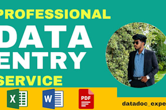 do excel data entry, copy paste and website data entry tasks