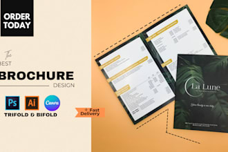 design trifold, bifold design, brochure and catalog