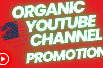 organic youtube video promotion to USA audience