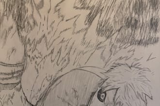 draw your pet cats dogs birds