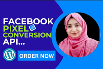do facebook pixel plus conversion API for wordpress