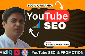 be your youtube video SEO specialist and channel manager
