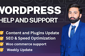 provide monthly wordpress maintenance, wp support and help, and website updates