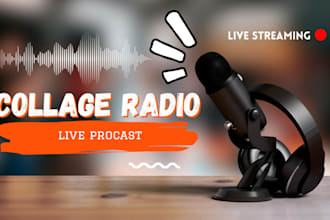 airplay and push your music to over 10k collage radio in mexico and worldwide
