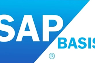 monitor sap performance, troubleshoot system issues, and apply fix