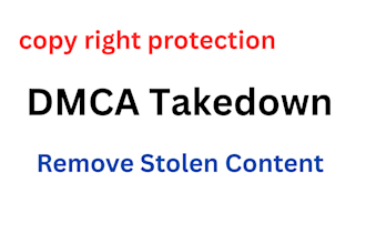 file dmca takedowns and remove stolen content fast