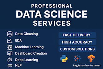 do data science and machine learning project for you