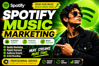 do promotion for spotify promotion marketing, music chart