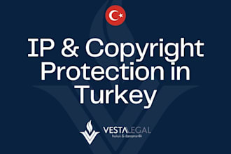 copyright, IP infringement legal support in turkey dmca