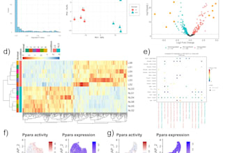 perform data analysis and visualization