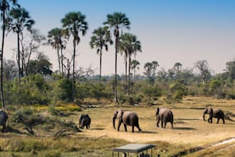 plan and book your travel with expert tourism consultation