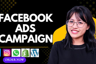 setup facebook ads campaign with pixel and capi tracking