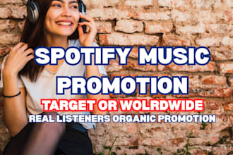 do spotify music promotion to target audience