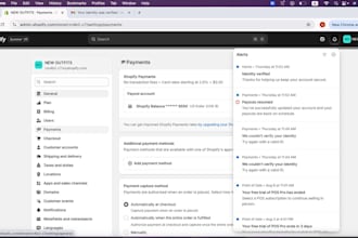 activate shopify payment and provide payout bank
