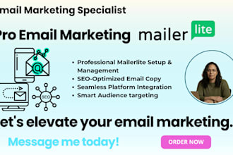 automate professional email campaigns with mailerlite