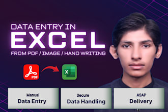 manually type data in excel from scanned PDF