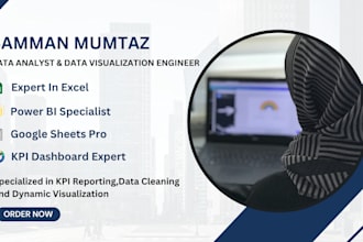 create professional excel charts,graphs and data visualizations