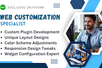 do wp installation, customization and wordpress, website maintenance services