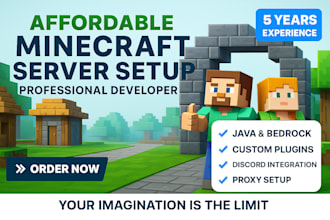 setup and develop a professional minecraft server with plugins