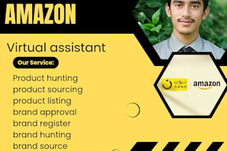 be your amazon and noon virtual assistant for uae and ksa