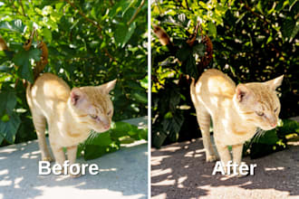 professional raw and jpeg photo editing and retouching