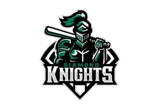 design a custom mascot sports baseball logo for your team or brand
