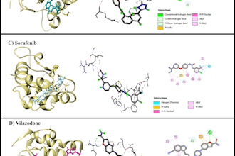 do network pharmacology, molecular docking and simulation