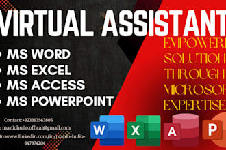 provide professional microsoft office support