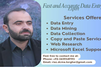 do fast accurate data entry at low price