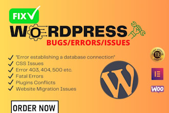 customize wordpress, fix wp error, edit theme,template, css, plugins