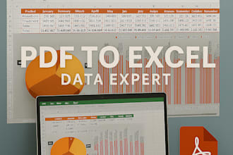 do accurate data entry and conversion